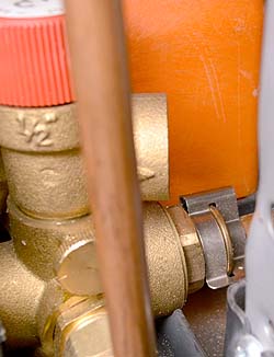 ar microgenus 24 mffi he inb insitu.jpg